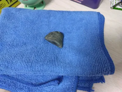 石をお迎えしました