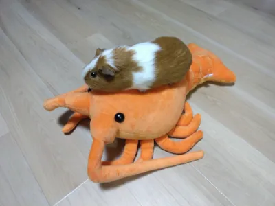 新年をお迎えしました