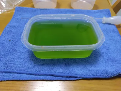 ミジンコをお迎えしました