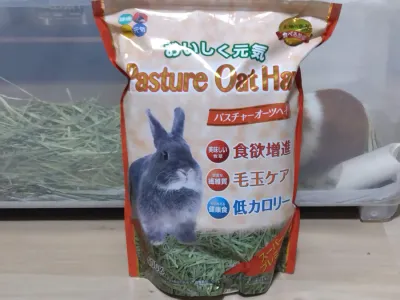 オーツヘイをお迎えしました