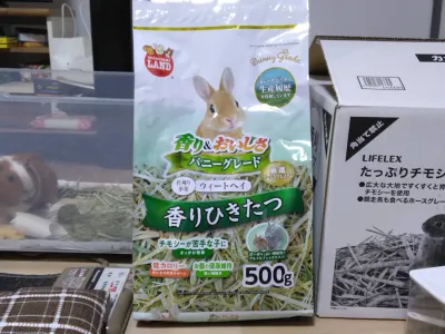 違いのわかるモル