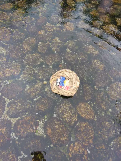 ひなと城南宮に行き帰りに流しました