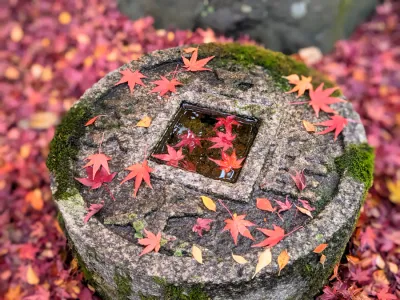 金福寺にいってきました