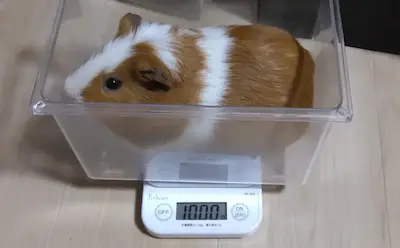 【速報】祝1000ぐらむ