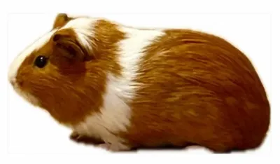 ブログはじめました